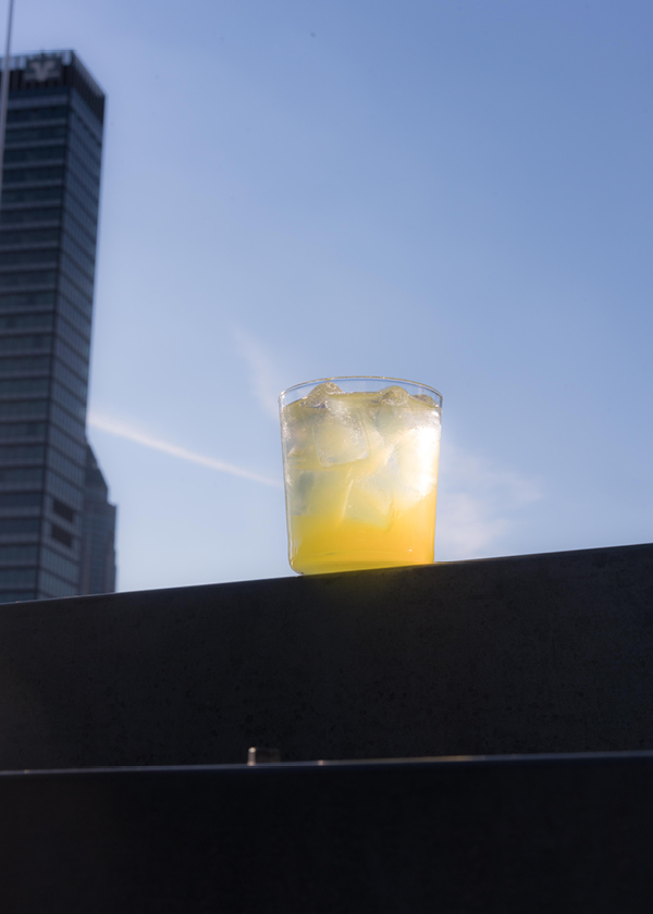 Shuka roof frankfurt